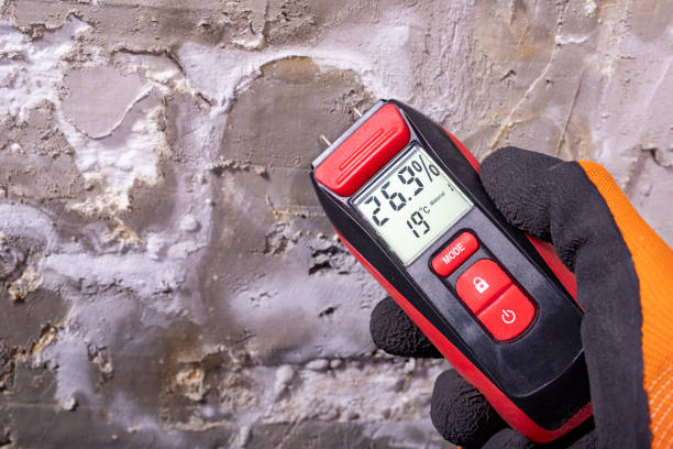 Trusted Alto, TX Mold Remediation Experts